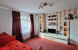 Casa 4 dormitoare, 256mp utili, 1100mp teren, zona Libertatii