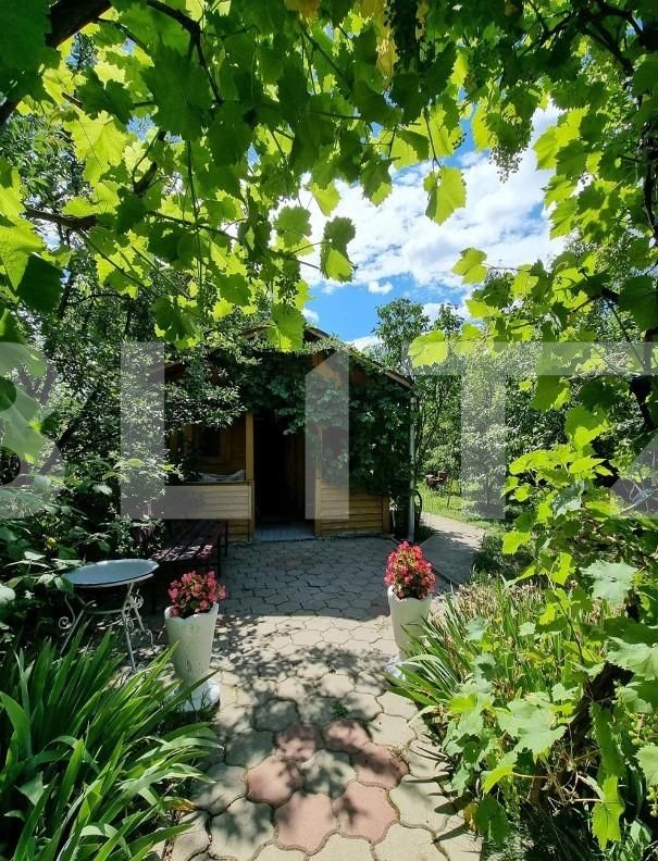 Casa de vânzare 4 camere Independenței - 133908CV | BLITZ Bistriţa | Poza10