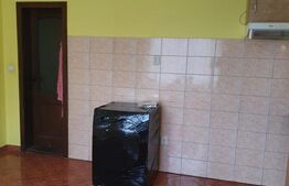 Casa individuala 165 mp utili, teren de 4500 mp, com.Reteag