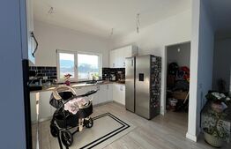 Casa moderna, 145mp - Unirea