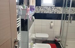 Casa la 6 km de Bistrita cu 25 ari de pamant