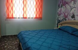 Casa la 6 km de Bistrita cu 25 ari de pamant