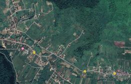 Teren Extravilan, 4300 mp, zona Valea Ghinzii