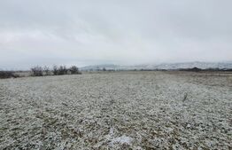 Teren 27 de ari, Extravilan in Unirea, zona aerodrom 