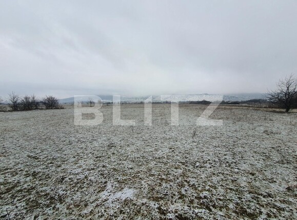 Teren de vânzare Unirea - 134957TV | BLITZ Bistriţa | Poza2