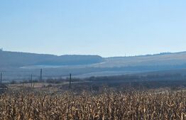 Oportunitate de Investiție: 50 Ha de Teren Ideal pentru Agricultură sau Parc Fotovoltaic, cu Acces la Infrastructura Electrică.