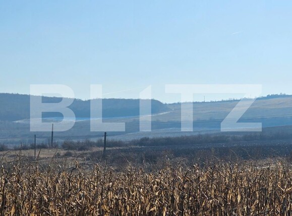 Teren de vânzare Exterior Vest - 134968TV | BLITZ Bistriţa | Poza1