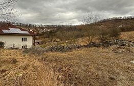 Oportunitate de investitie: 801MP de teren plus drum comun 