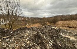 Oportunitate de investitie: 801MP de teren plus drum comun 