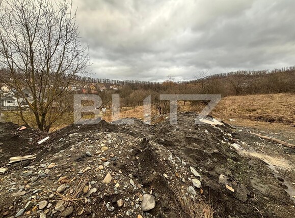 Teren de vânzare Sud-Est - 135098TV | BLITZ Bistriţa | Poza2