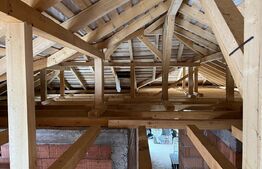 Casa cu 3 dormitoare, 2 bai si 5 ari de teren