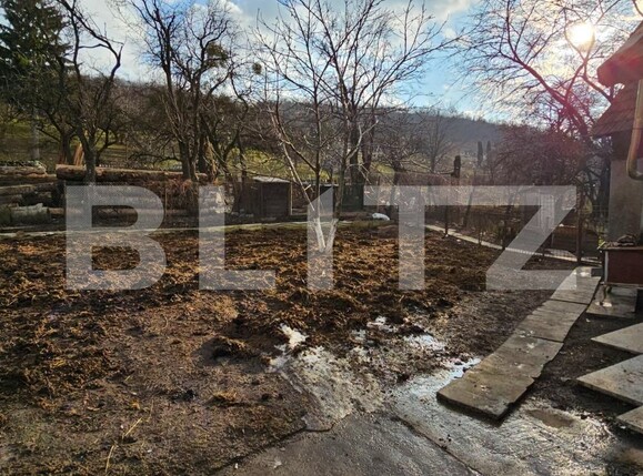 Casa de vânzare 2 camere Exterior Est - 135399CV | BLITZ Bistriţa | Poza7