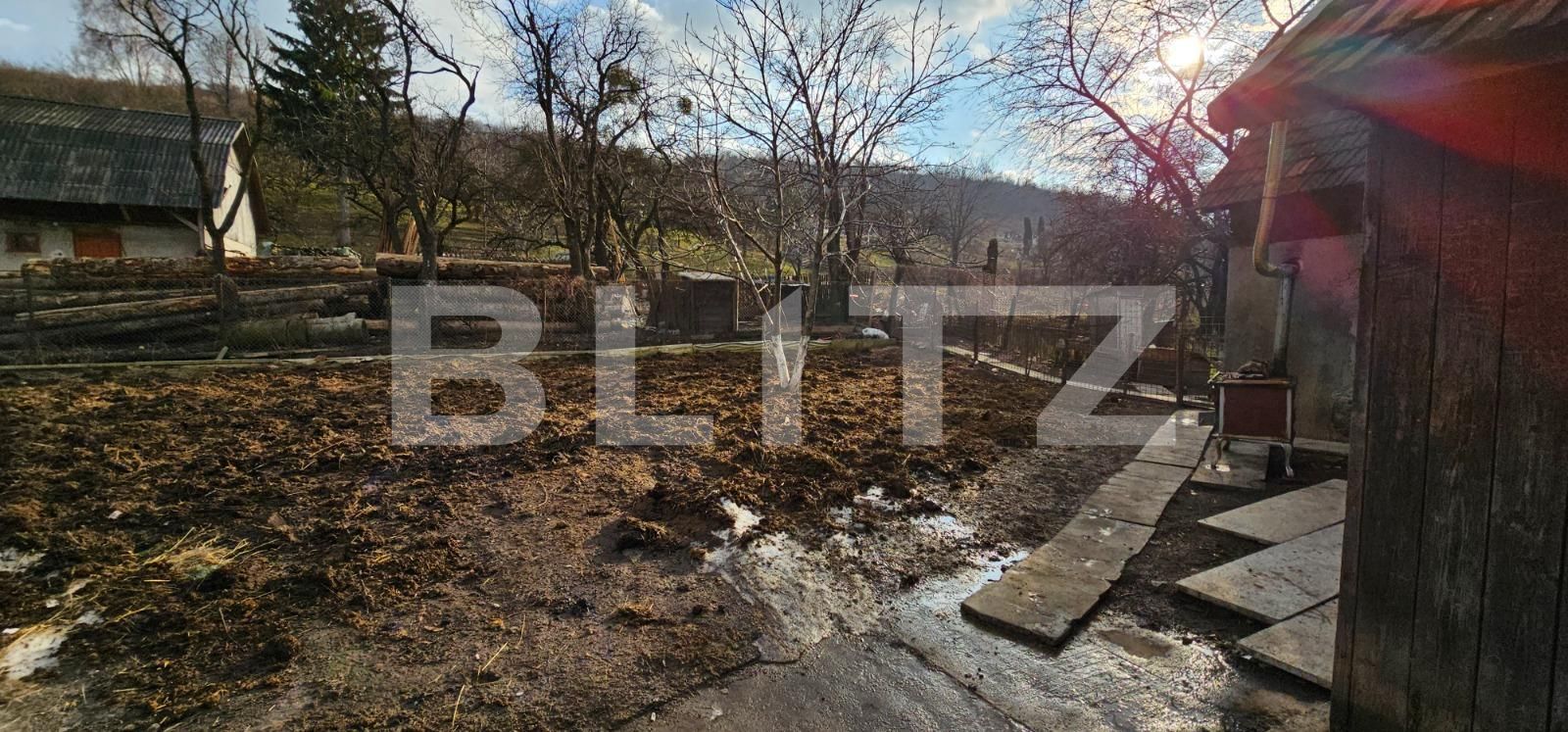Casa de vânzare 2 camere Exterior Est - 135399CV | BLITZ Bistriţa | Poza7