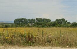  Teren intravilan imprejmuit 9200mp, zona Saretel,DN 17