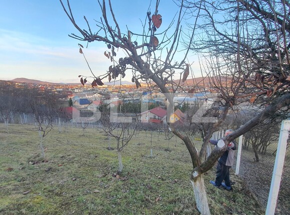 Casa de vânzare 3 camere Sigmir - 135647CV | BLITZ Bistriţa | Poza7