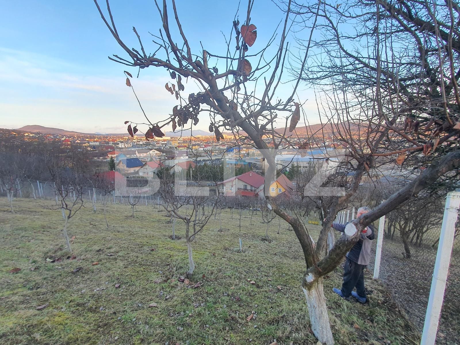 Casa de vânzare 3 camere Sigmir - 135647CV | BLITZ Bistriţa | Poza7