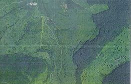 Teren extravilan 49300mp, zona Ginda