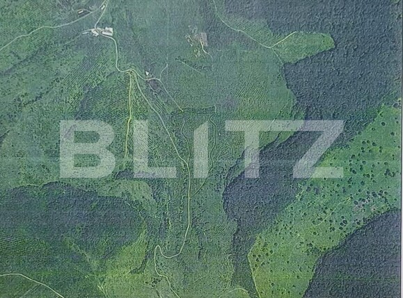 Teren de vânzare Dorolea - 135761TV | BLITZ Bistriţa | Poza1