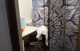 Spatiu comercial, 120mp, zona centrala