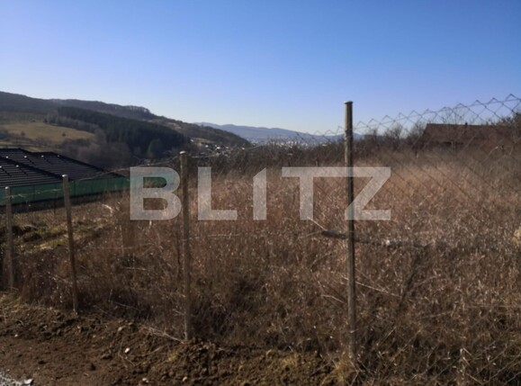 Teren de vânzare Sud-Vest - 135864TV | BLITZ Bistriţa | Poza1