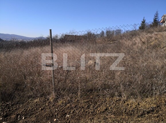 Teren de vânzare Sud-Vest - 135864TV | BLITZ Bistriţa | Poza3