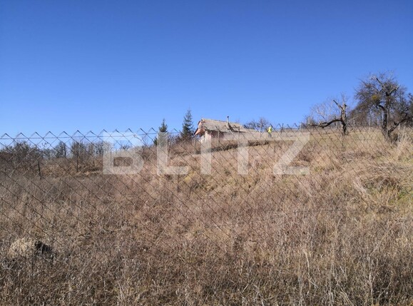 Teren de vânzare Sud-Vest - 135864TV | BLITZ Bistriţa | Poza2