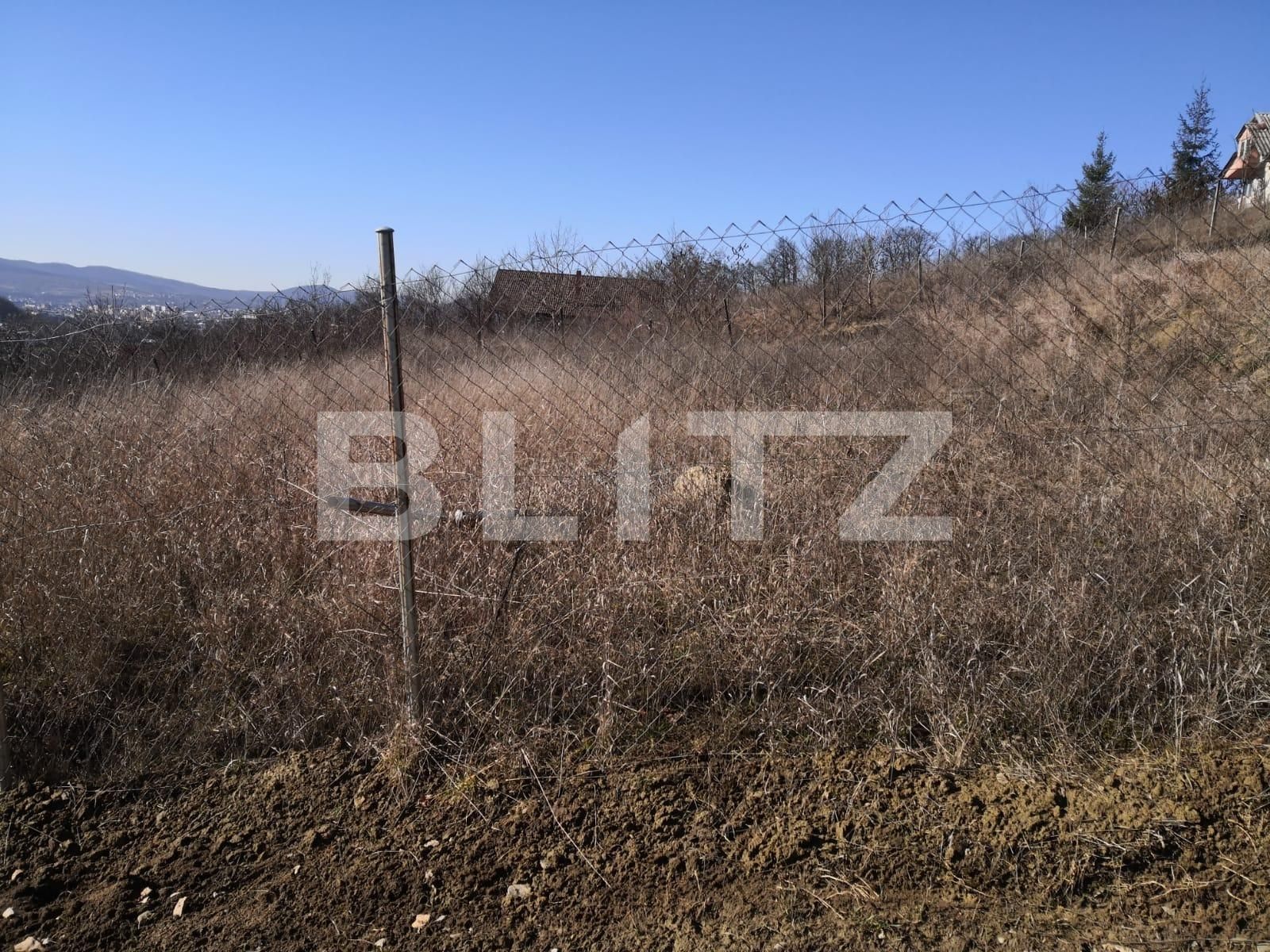 Teren de vânzare Sud-Vest - 135864TV | BLITZ Bistriţa | Poza3