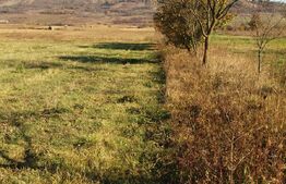 Casa de vanzare 90mp,teren 2300mp