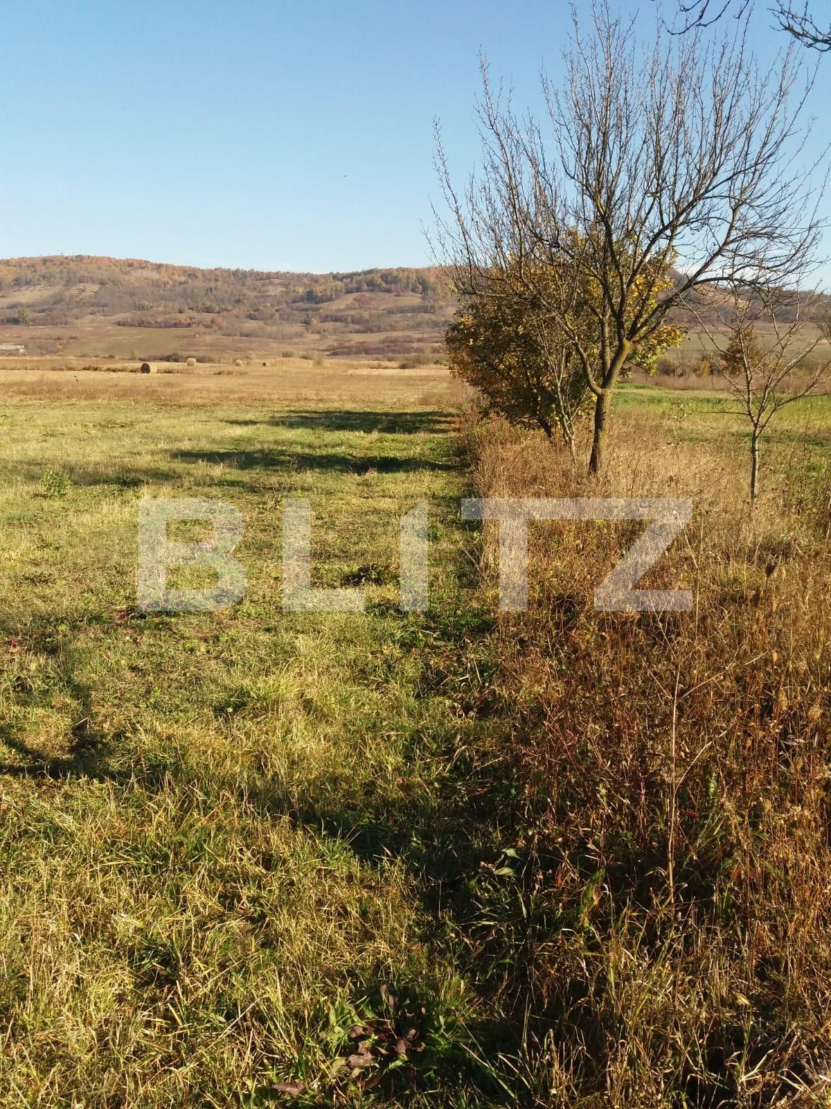 Casa de vânzare 3 camere Beclean - 135918CV | BLITZ Bistriţa | Poza7