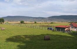 Teren Arcalia 3000mp Intravilan