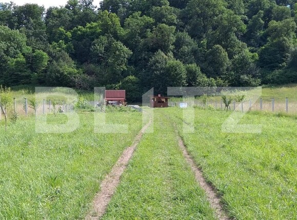 Teren de vânzare Sud-Est - 135921TV | BLITZ Bistriţa | Poza7