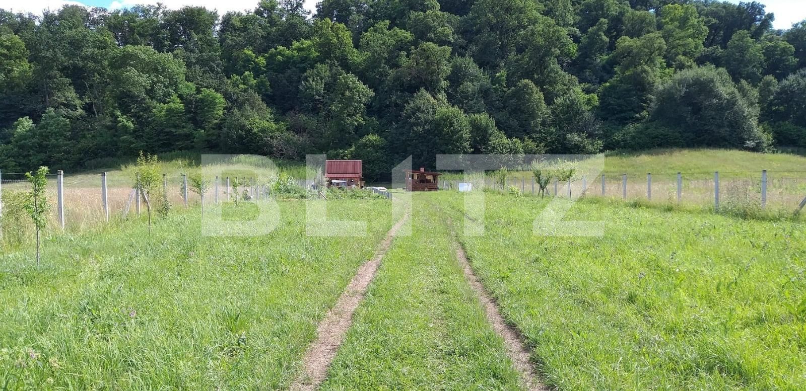 Teren de vânzare Sud-Est - 135921TV | BLITZ Bistriţa | Poza7