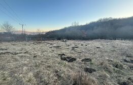 Teren intravilan, Valea Slatinitei, 1000mp