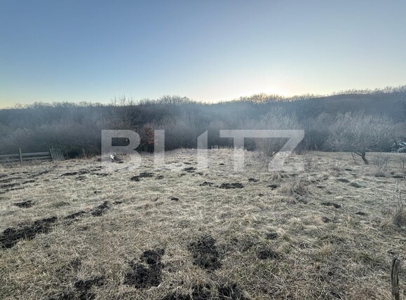 Teren de vânzare Unirea - 135943TV | BLITZ Bistriţa | Poza2