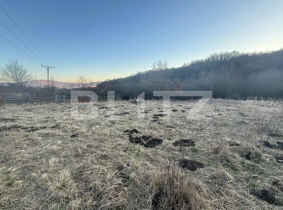 Teren de vânzare Unirea - 135943TV | BLITZ Bistriţa | Poza1