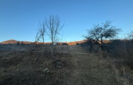 Teren Intravilan, 65000mp, Valea Slatinitei