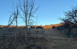 Teren Intravilan, 65000mp, Valea Slatinitei