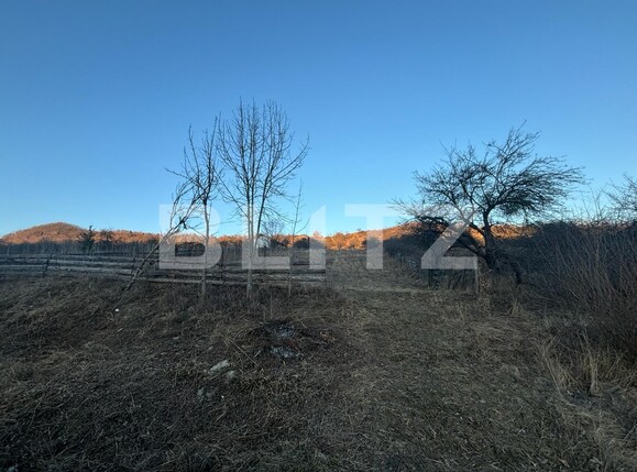 Teren de vânzare Unirea - 135944TV | BLITZ Bistriţa | Poza1