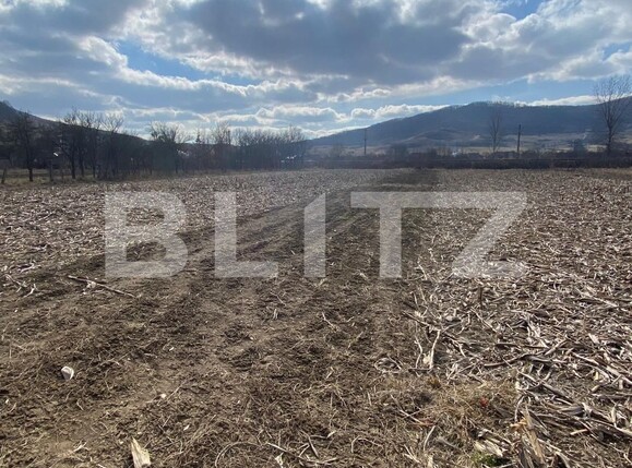 Teren de vânzare Periferie - 136291TV | BLITZ Bistriţa | Poza1