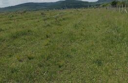 Teren De Vanzare Sesul Jelni