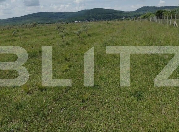 Teren de vânzare Est - 136381TV | BLITZ Bistriţa | Poza1