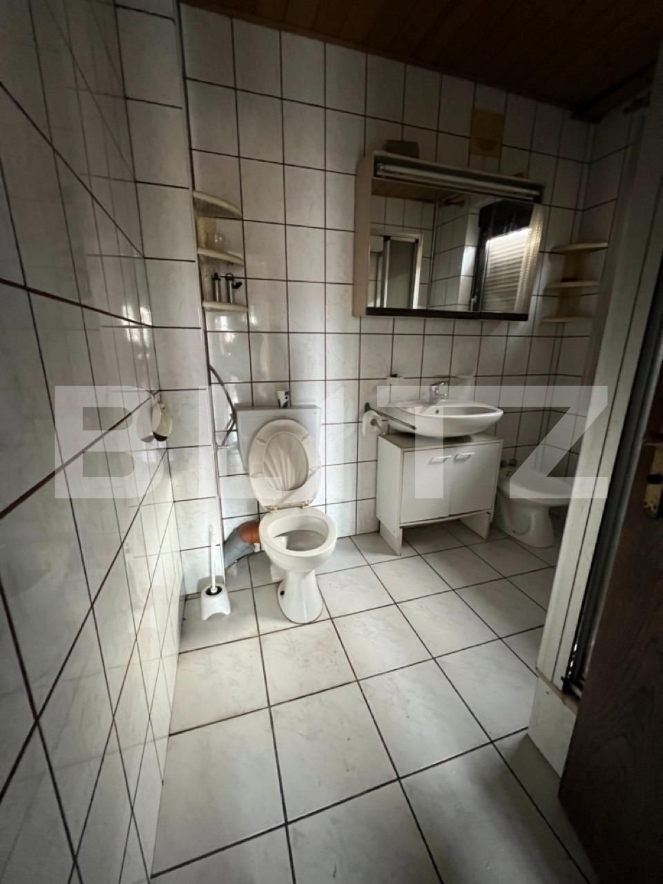 Casa de vânzare 5 camere Sud - 136479CV | BLITZ Bistriţa | Poza11