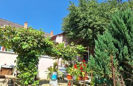 Casa 3 camere, 129mp, zona Viisoara 