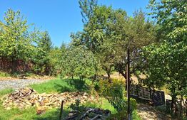 Casa 3 camere, 129mp, zona Viisoara 