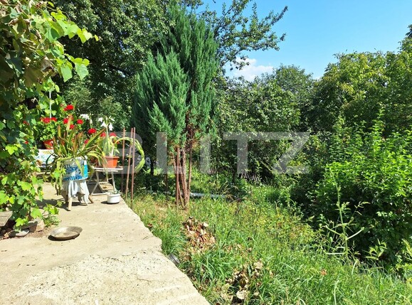 Casa de vânzare 3 camere Viișoara - 136490CV | BLITZ Bistriţa | Poza12