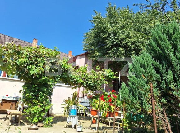 Casa de vânzare 3 camere Viișoara - 136490CV | BLITZ Bistriţa | Poza16