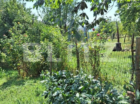 Casa de vânzare 3 camere Viișoara - 136490CV | BLITZ Bistriţa | Poza14