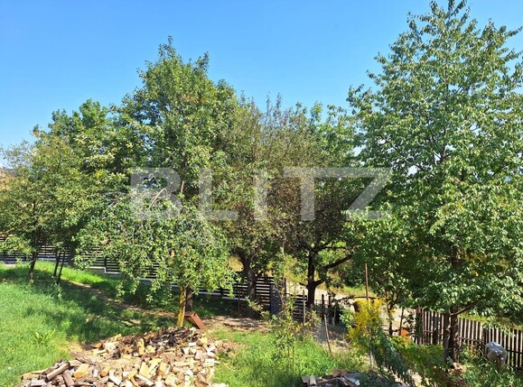 Casa de vânzare 3 camere Viișoara - 136490CV | BLITZ Bistriţa | Poza7