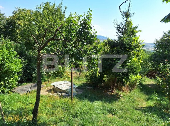 Casa de vânzare 3 camere Viișoara - 136490CV | BLITZ Bistriţa | Poza13