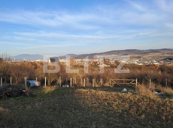 Casa de vânzare 3 camere Viișoara - 136490CV | BLITZ Bistriţa | Poza6